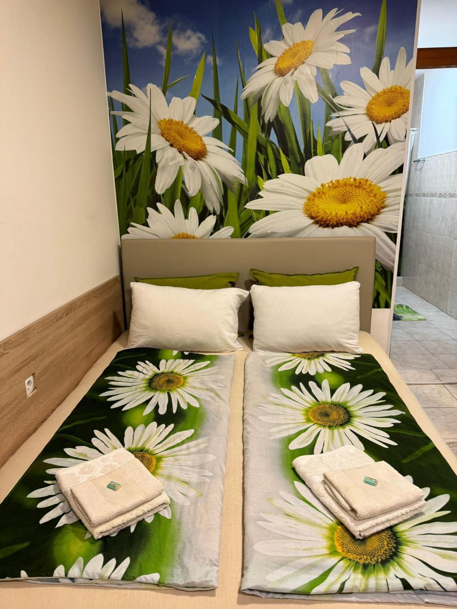 Nela Apartmani Ni エクステリア 写真