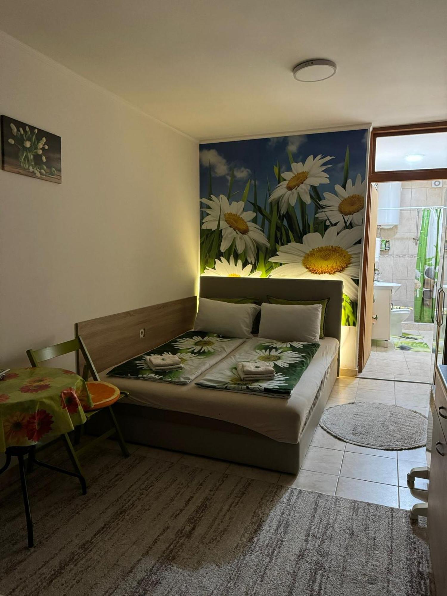 Nela Apartmani Ni エクステリア 写真