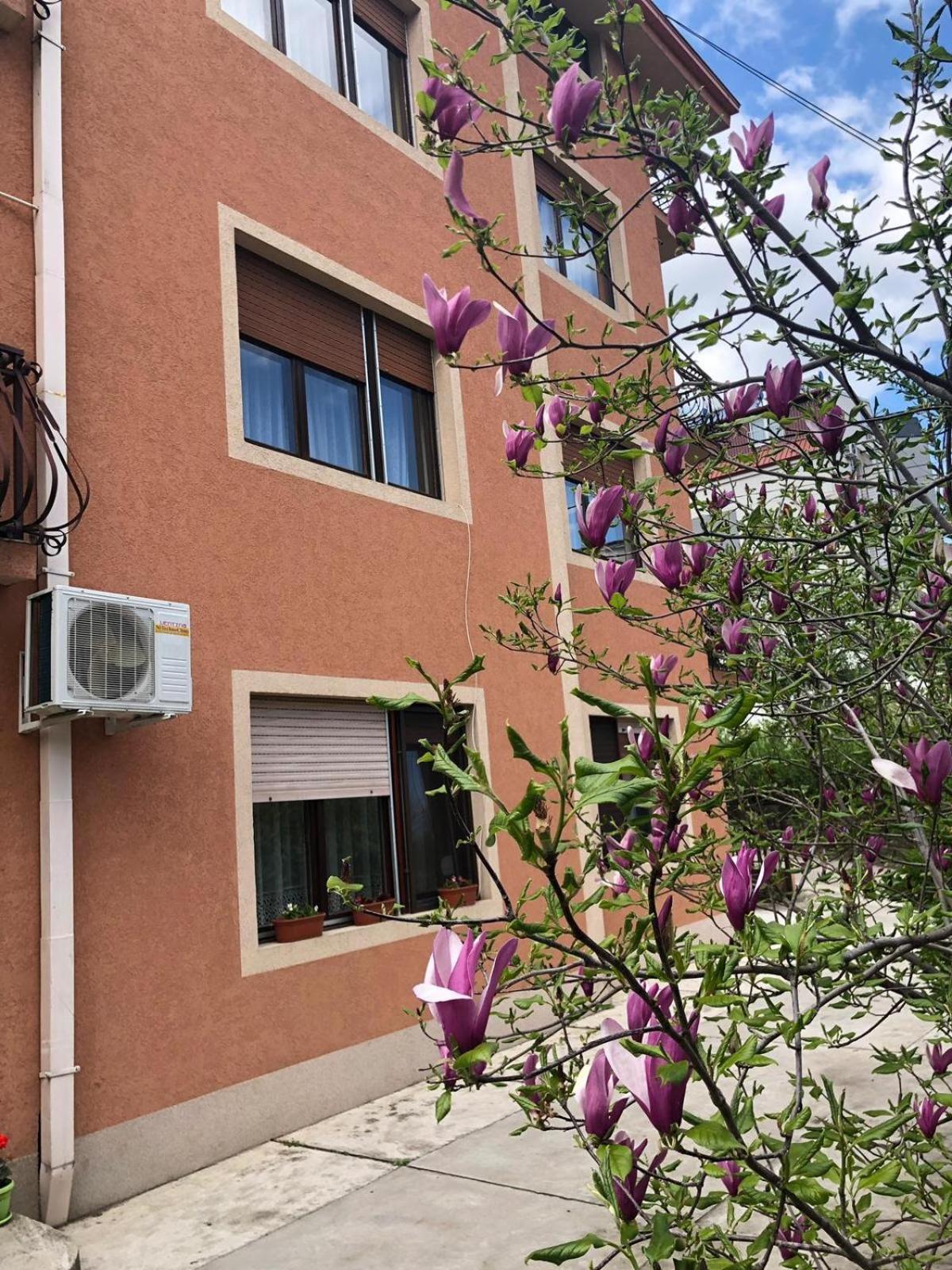 Nela Apartmani Ni エクステリア 写真